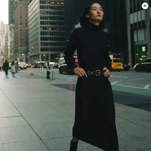 Zara high collar midi dress - Picture 3 of 4